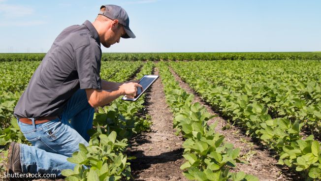 Die Digitalisierung erreicht auch die Landwirtschaft